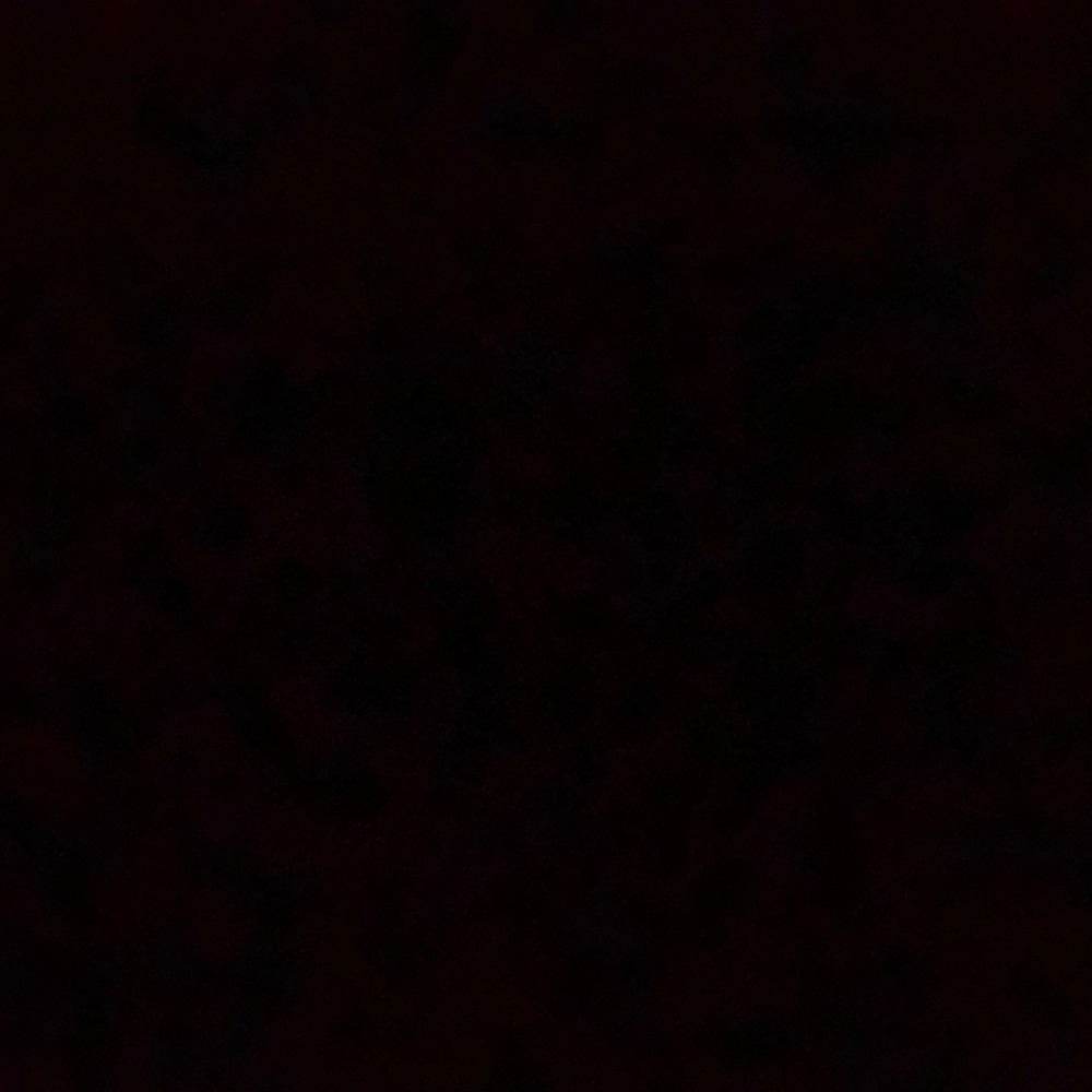 Meet your Posher, Mikayla